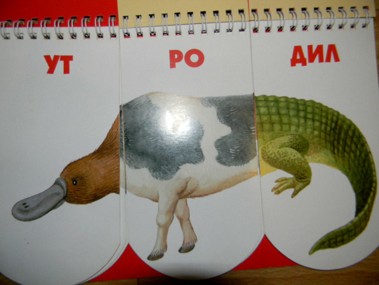 ЖИНЕВОТЫ -мой отзыв о книге...