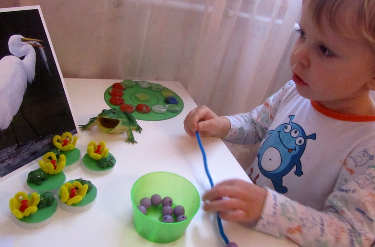 ТЗ История жизни одной лягушки