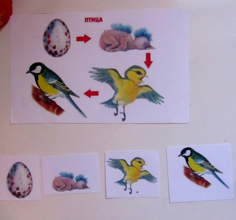 Снегири-снегири!!!!