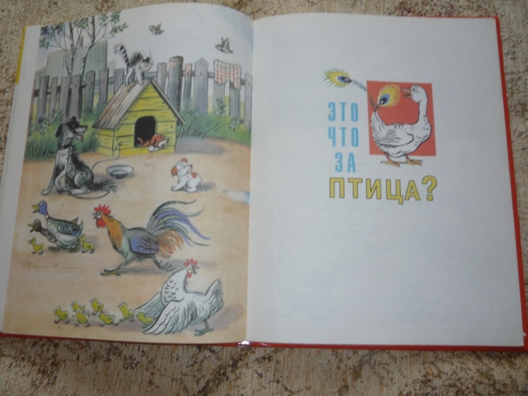 Наше чтение в 2 года 10 месяцев.