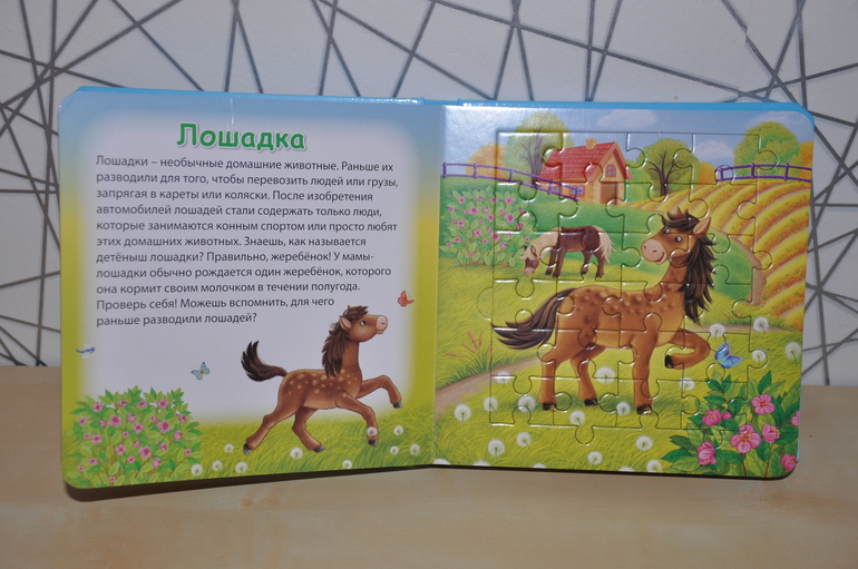 Пазломания. Часть 9. Еще немного пазлов.