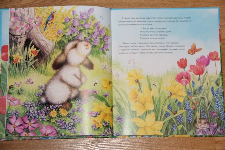 Заяц-чудак и его разноцветные шубки