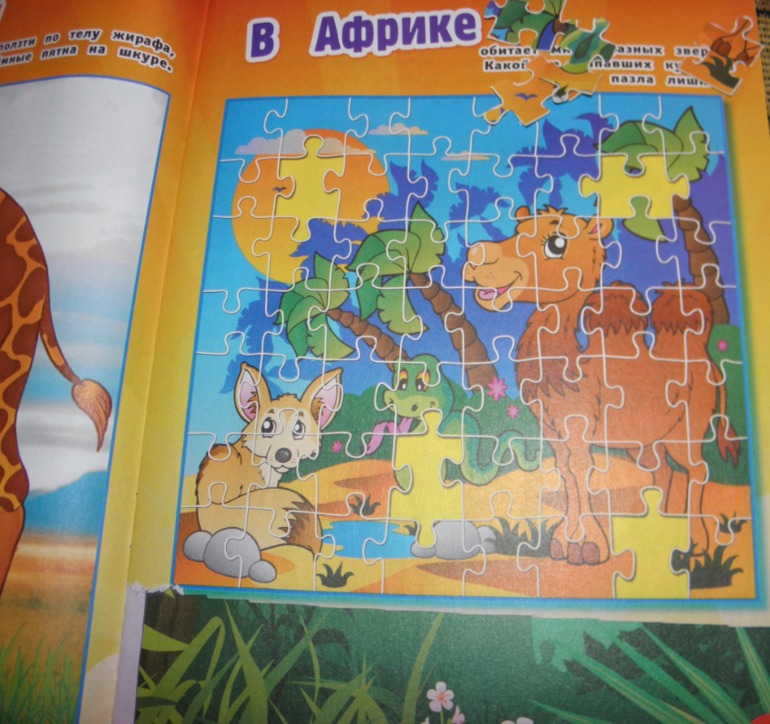 ФМ Африка день 1