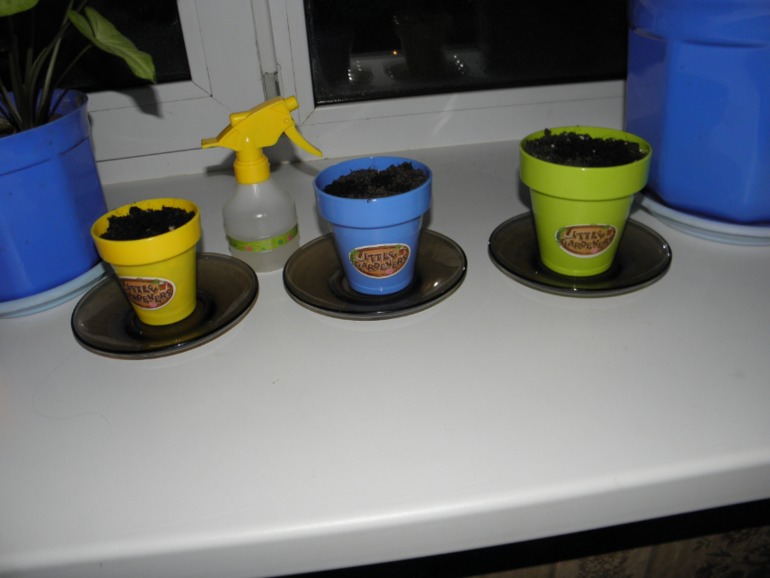 Мелкая моторика занятие 23