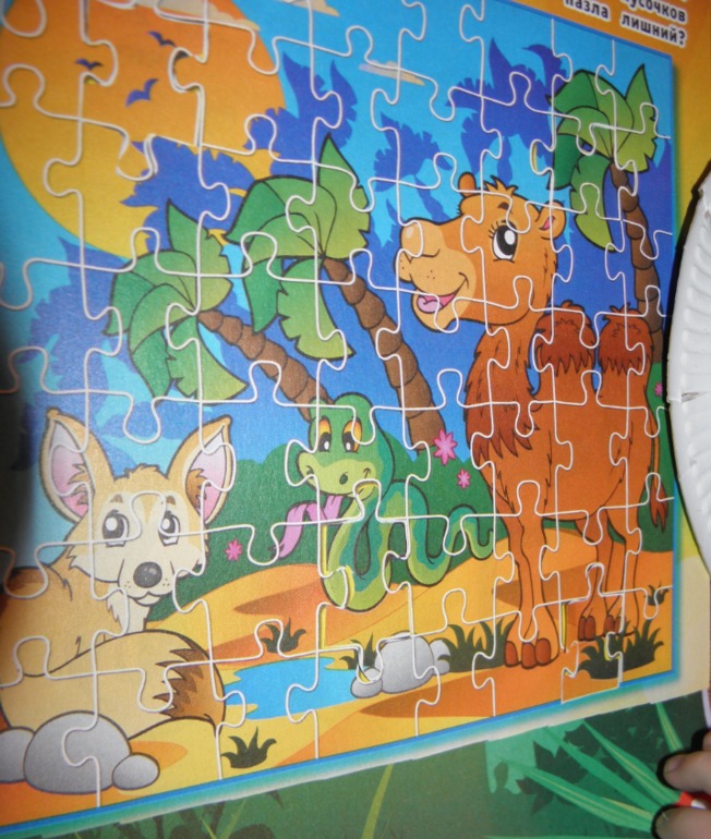 ФМ Африка день 1