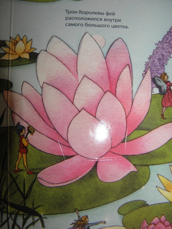 Хотите узнать как живут феи и эльфы!?