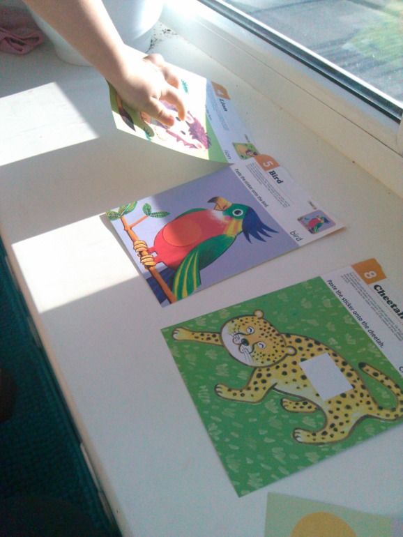 Путешествие в Африку!