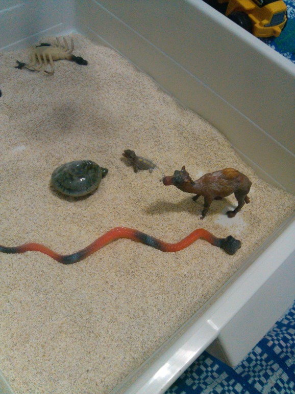 Продолжение африканского путешествия