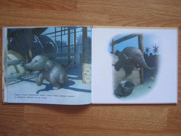 Кое-что из нашей маленькой библиотеки