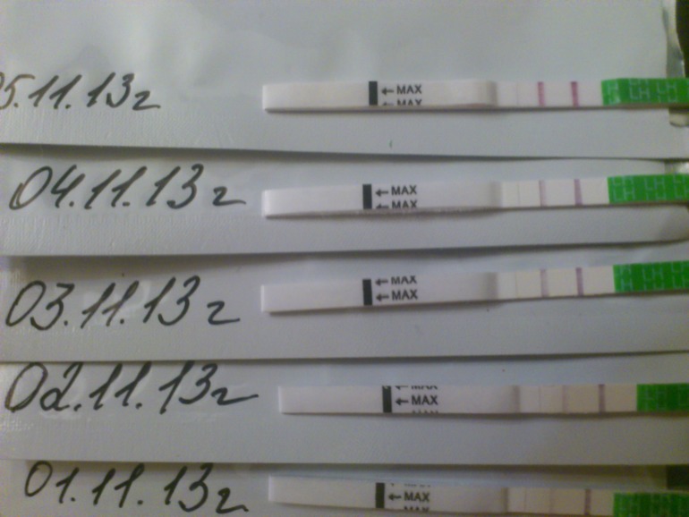 Тесты на овуляцию, ничего не понятно, когда же...