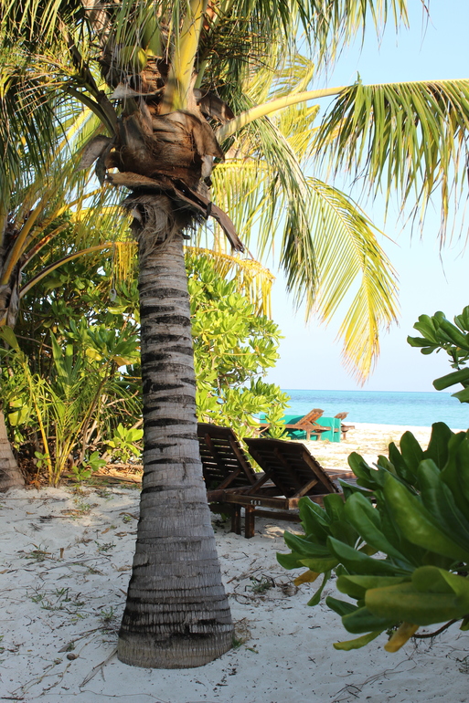 Мальдивы - полный релакс