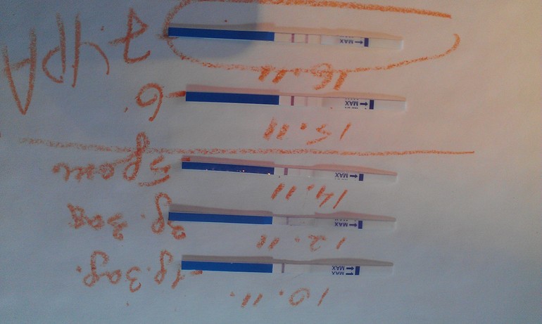 миссия выполнена успешно!