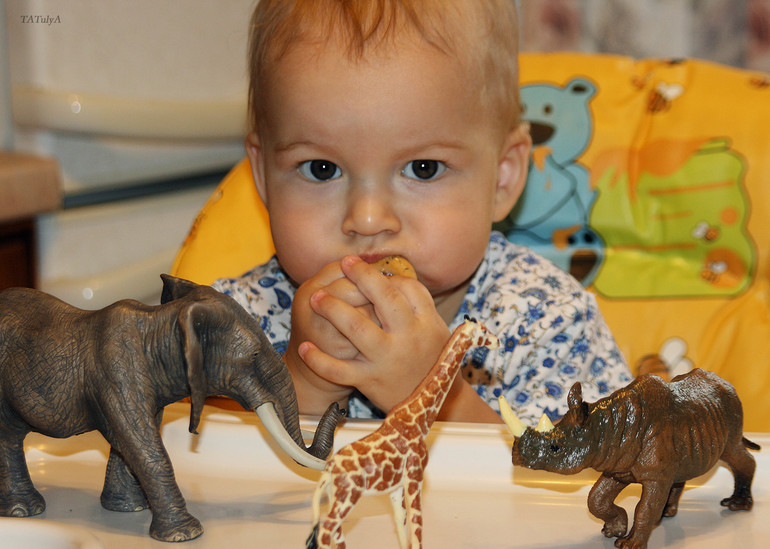 Игрушки Schleich