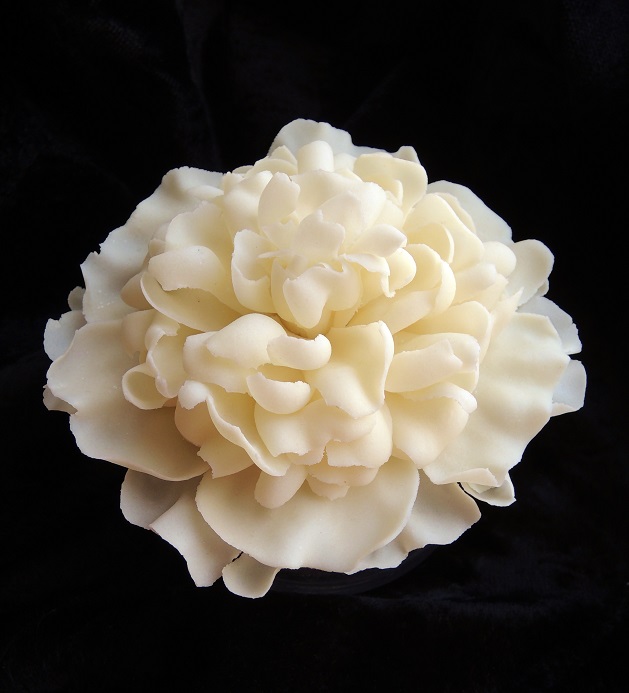 Молочный пион