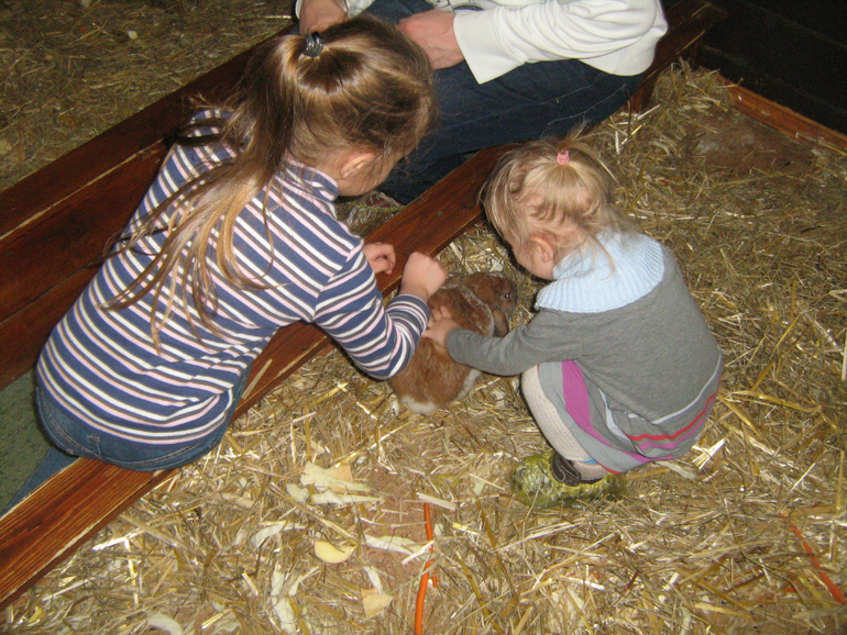 Контактный зоопарк на ВДНХ