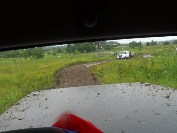 сколько на фото машин?