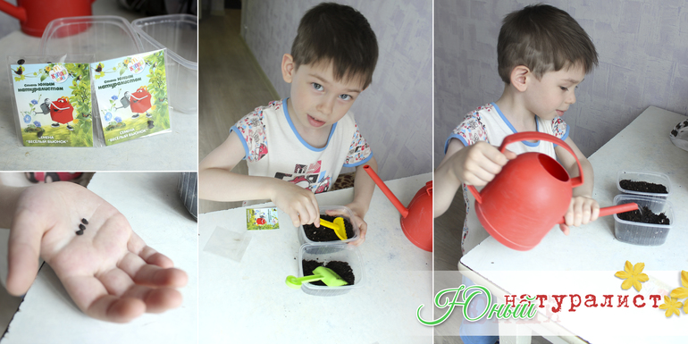 Пособие для начинающих...