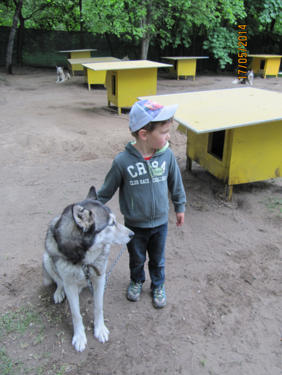 Наши замечательные выходные))