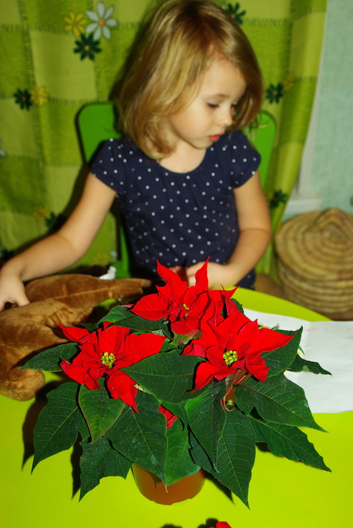 Как же сейчас здорово в магазинах) потихоньку готовимся к новому году)