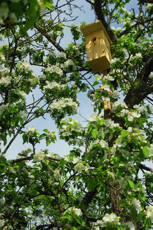Поваровка 17.05.2014