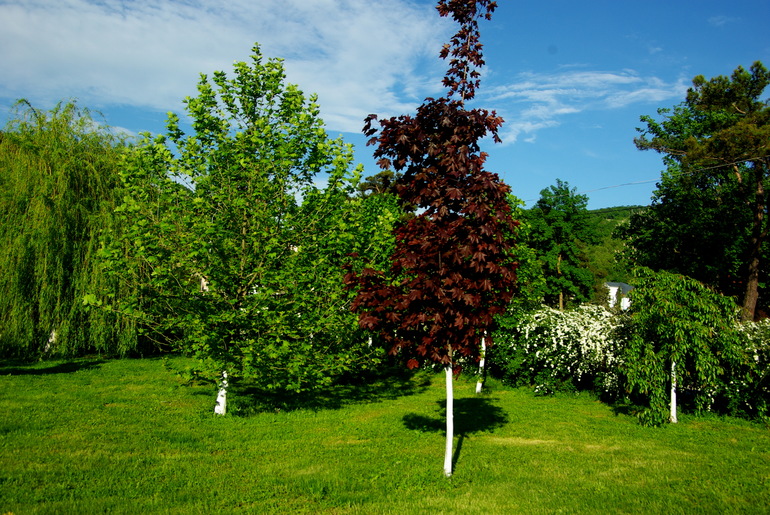 Абрау Дюрсо май 2014