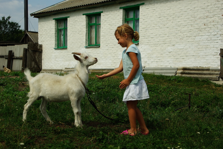 Теплые денечки августа)