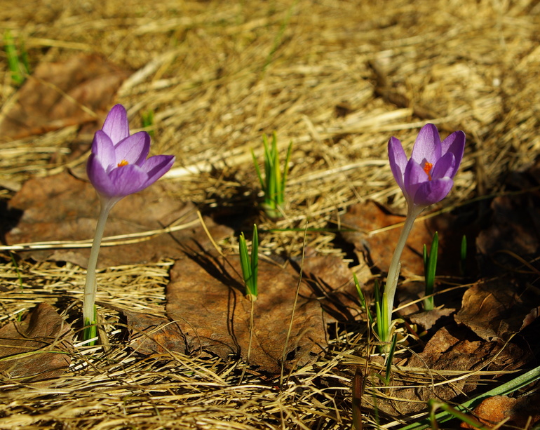 Поваровка 27.03.14