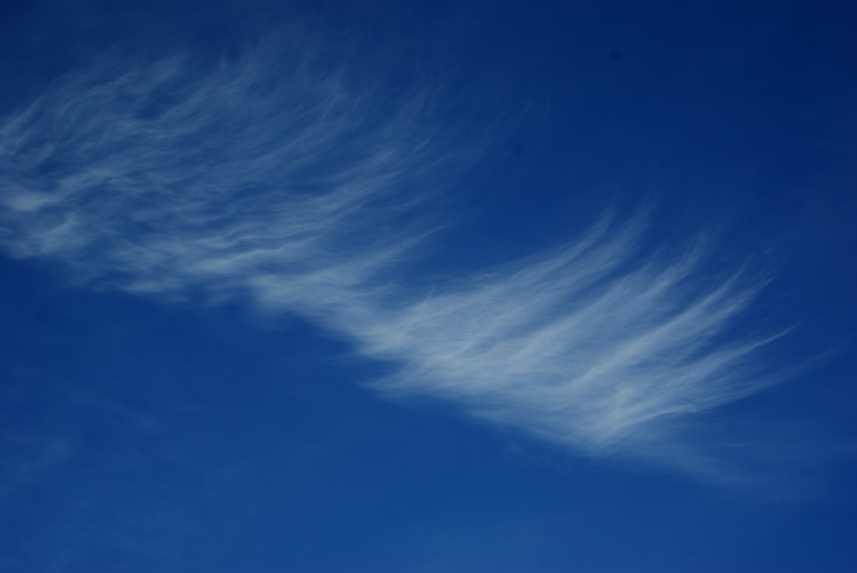 a82bfeba65f32a9bf4109fc380a20a0c.jpg