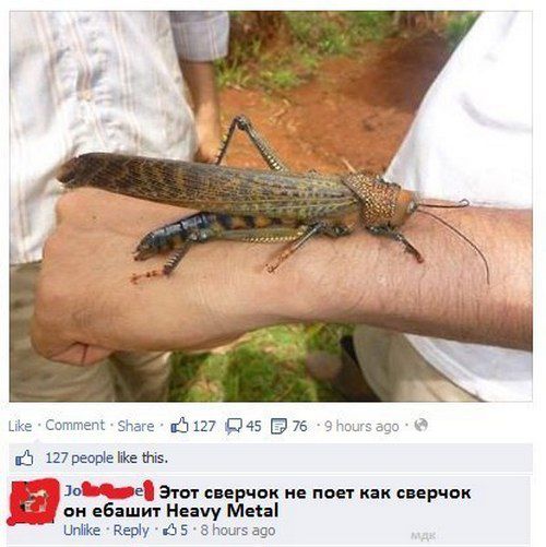))))