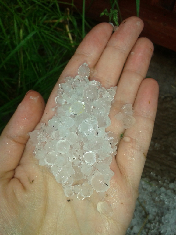 Собрали урожай...