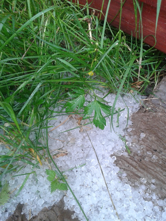 Собрали урожай...