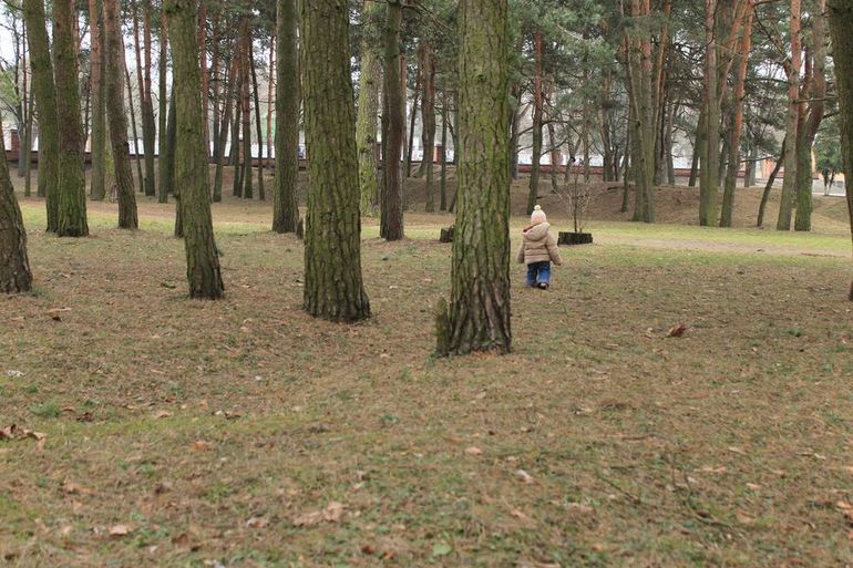 Фотоаппарат. Пейзажи