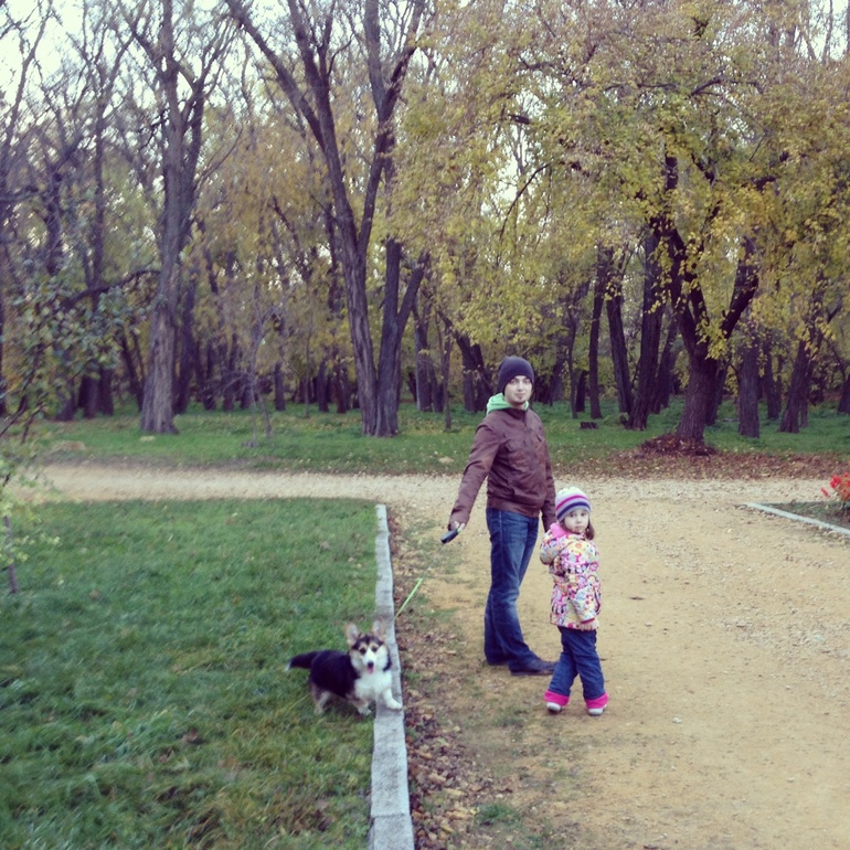 Всем привет!