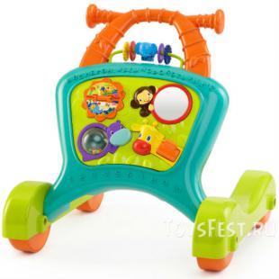 Выбор ходунков-каталки