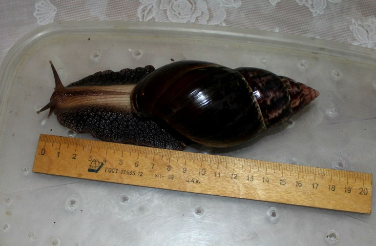 А ребенок то первые деньги заработал )