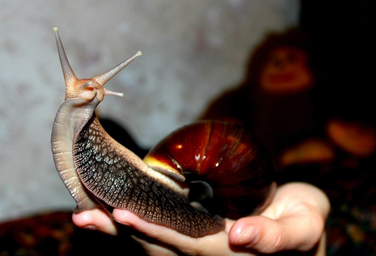 А ребенок то первые деньги заработал )