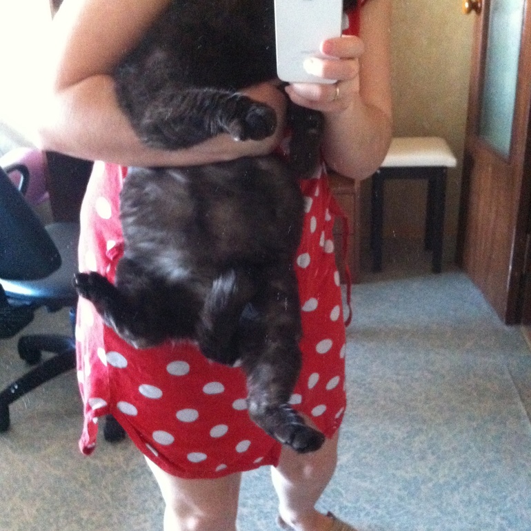 Беременный бум в нашем доме)