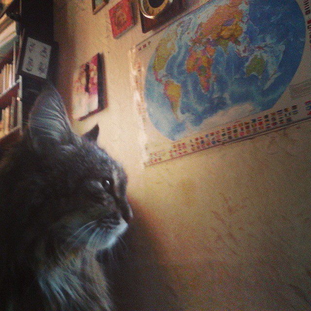 f1950b3cd8d8586098ee11e8cec52f4a.jpg
