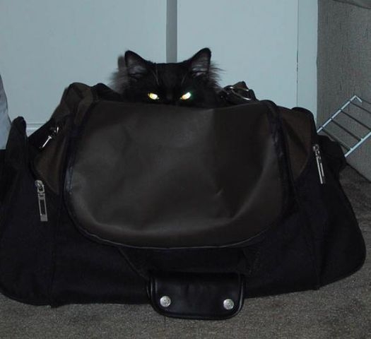 Масленица:)