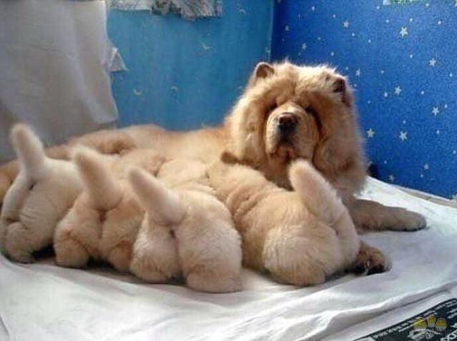 Позитивчик:)