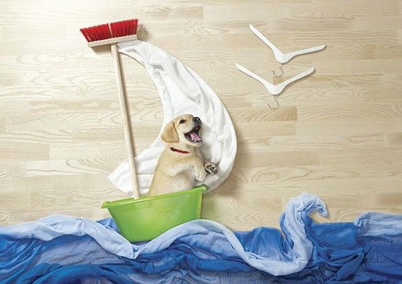 Креатив с учатием животных.