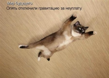 От улыбки, станет всем светлей...:)