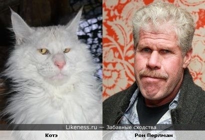 От улыбки, станет всем светлей...:)