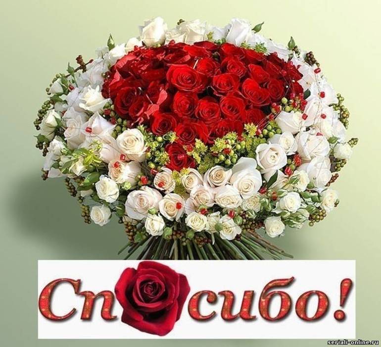 48e1ee8df94aaf0f0093523cfc21411a.jpg