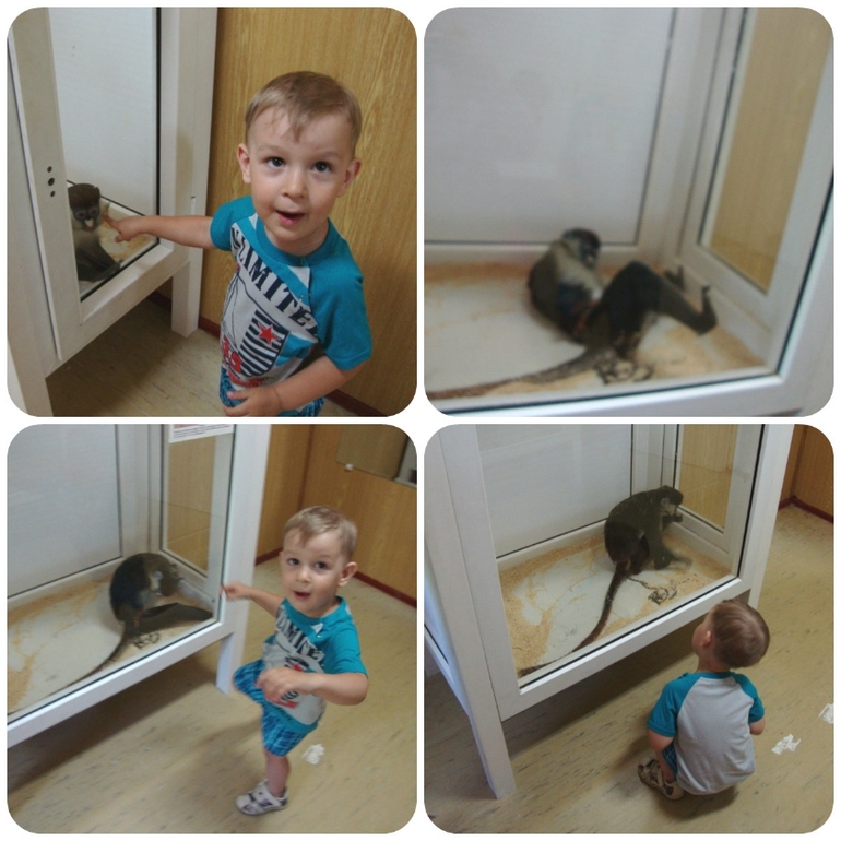 61afe336ec24ac9c145dff73c0329bec.jpg