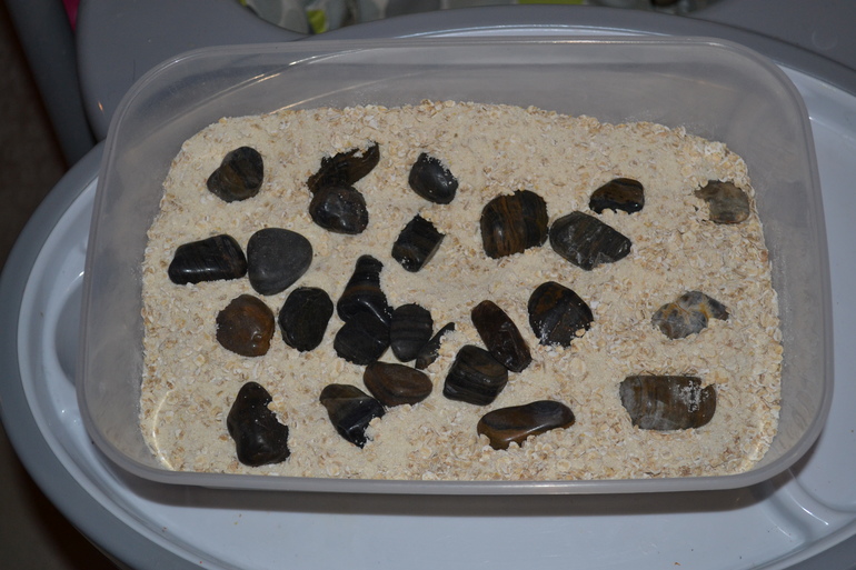 Тематическая неделя Море. День 1.