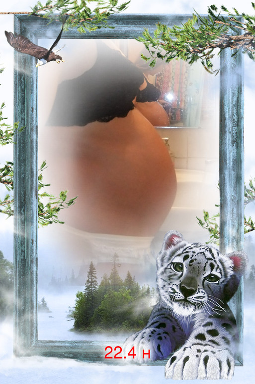 22.4 недели + фото