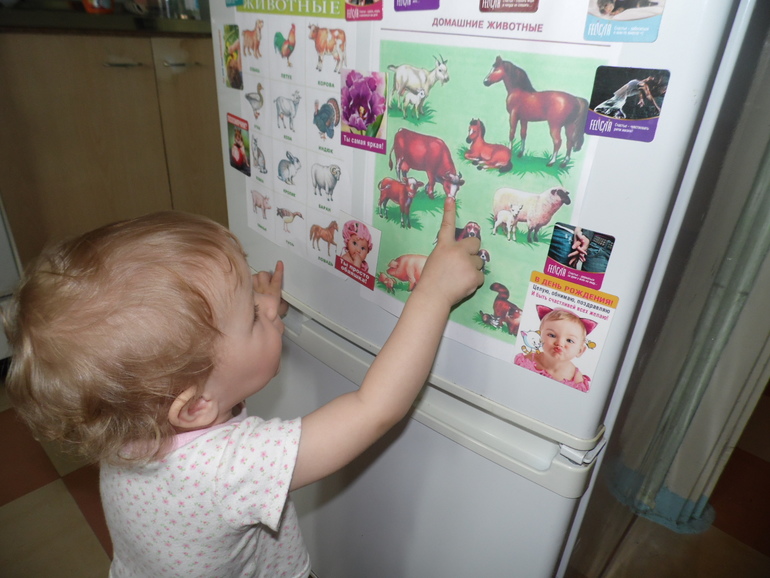 ТН Скотный двор - День 1