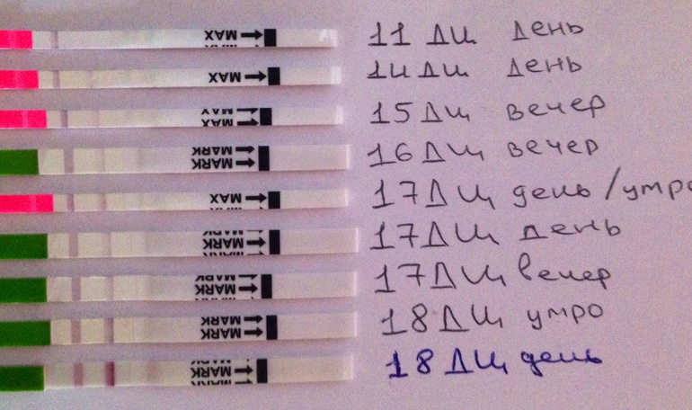 Я не думала что бывают такие яркие полоски!)