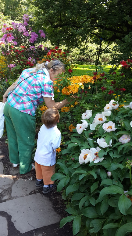 Прогулка в Аптекарский огород